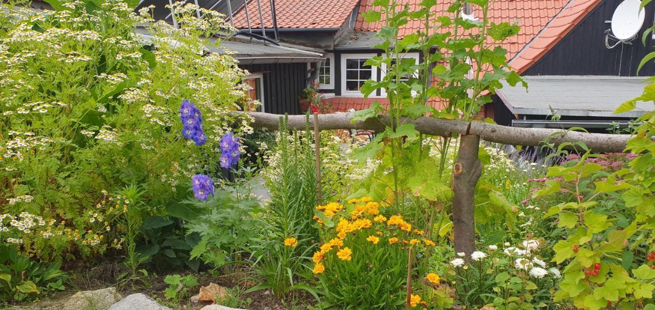 Ferienwohnung Zur Ellernmuehle 巴特苏德罗德 外观 照片